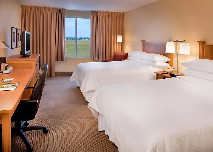 Radisson - St Louis Hotel 4*