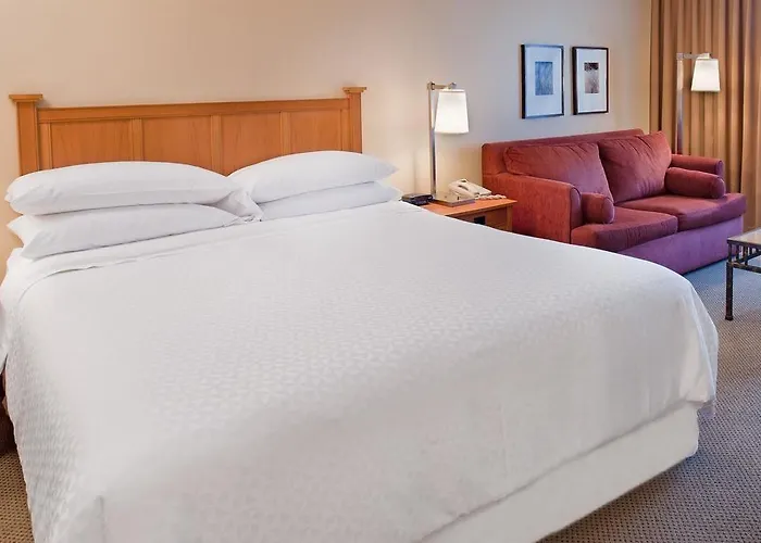 Radisson - St Louis Hotel 4*