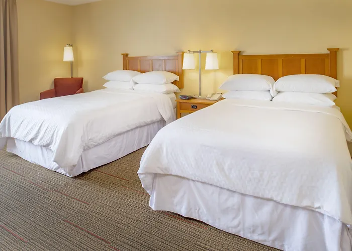 Hotel Radisson - St Louis