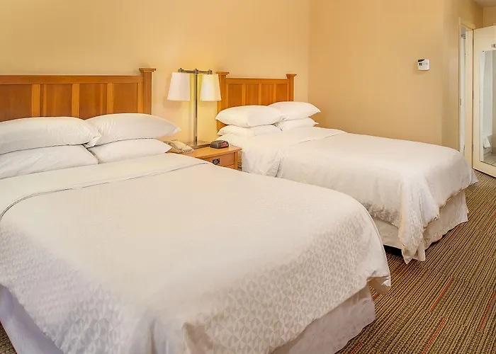 Hotel Radisson - St Louis 4*
