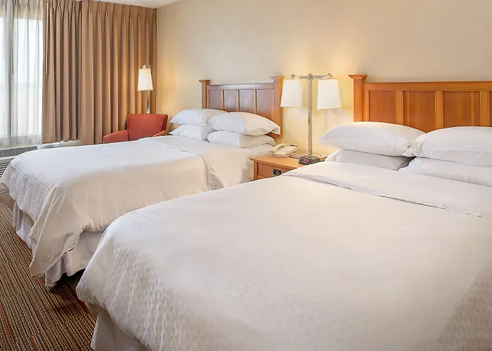 Radisson - St Louis Hotel